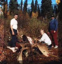 elch.jpg (85901 Byte)
