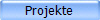 Projekte